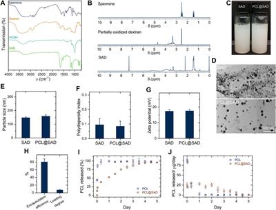 Paclitaxel-incorporated nanoparticles improve functional recovery after spinal cord injury